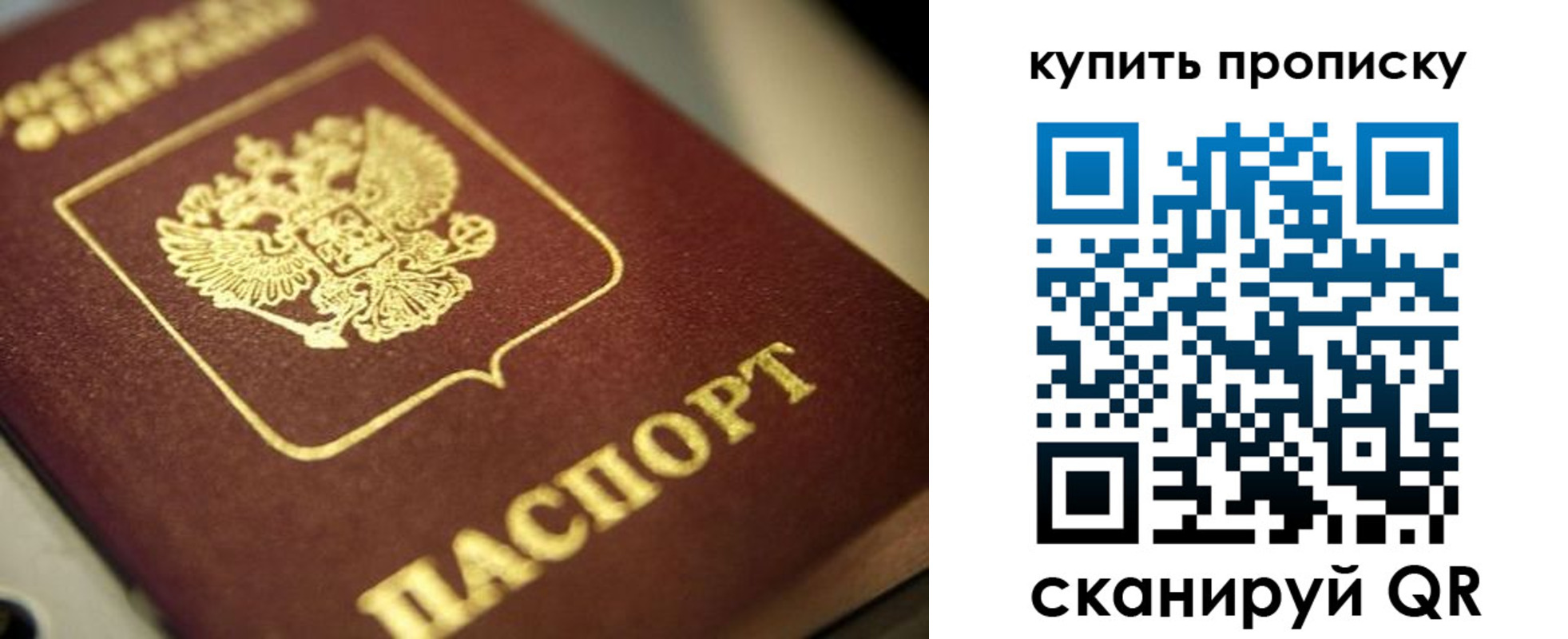 прописка поиск в Обояни